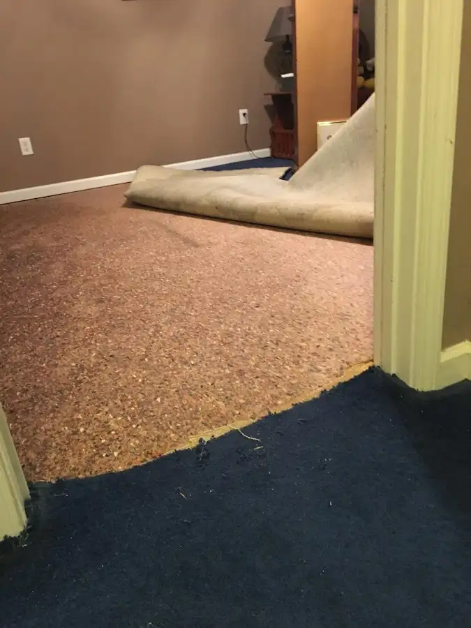 Carpet pad removal revealing water damage during Drying & Dehumidification in Belding