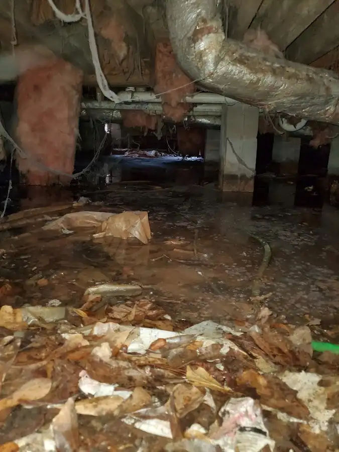 Crawl space flood assessment for Leak Detection & Repair in Belding
